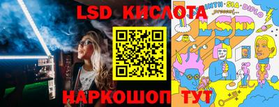 Альфа ПВП Гатчина