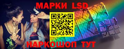 дмт Гай