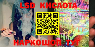 дмт Гай