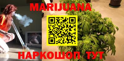 Альфа ПВП Гатчина