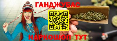 дмт Гай