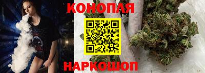 Альфа ПВП Гатчина
