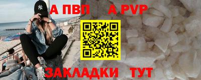 дмт Гай